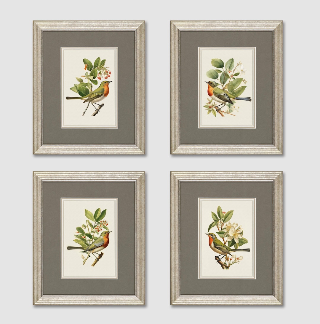 Vintage Bird Botanical Prints Set: Nature Wall Art (digital Prints) - Etsy