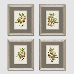 Set of 4 Vintage Bird & Botanical Art Prints, Nature Art, Bird Wall Art, Bird Decor, Digital Prints, Home Decor,Neutral Farmhouse Wall Decor