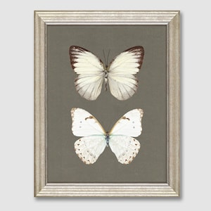 Vintage Butterfly Print, Digital Prints, Home Decor, Neutral Farmhouse Wall Decor, Moody Wall Art, Rustic Vintage Decor, Butterfly Print,