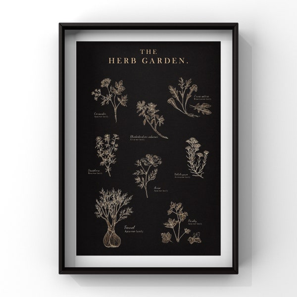 HERB GARDEN  Poster, Vintage Home Decor,  Botanical Print Illustration, Kitchen, Kitchen Herbs Poster A4, A3, A2, 30x40" to Black and golden