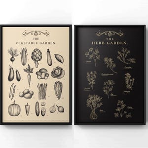 Herb & Vegetable Garden Poster Set: Botanical Kitchen Art (Digital Download)