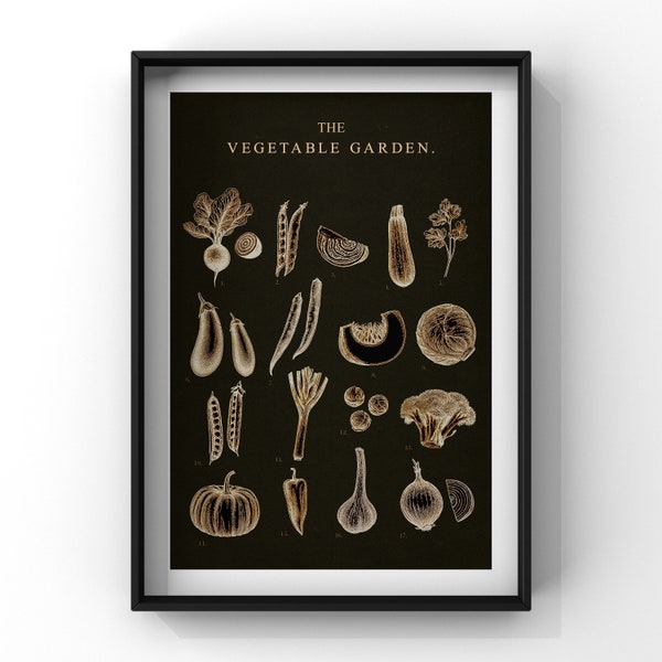 VEGETABLE GARDEN Poster, Vintage Home Decor, Botanical Print Illustration, Kitchen, Kitchen Herbs Poster A4 to Black  ,Kitchen