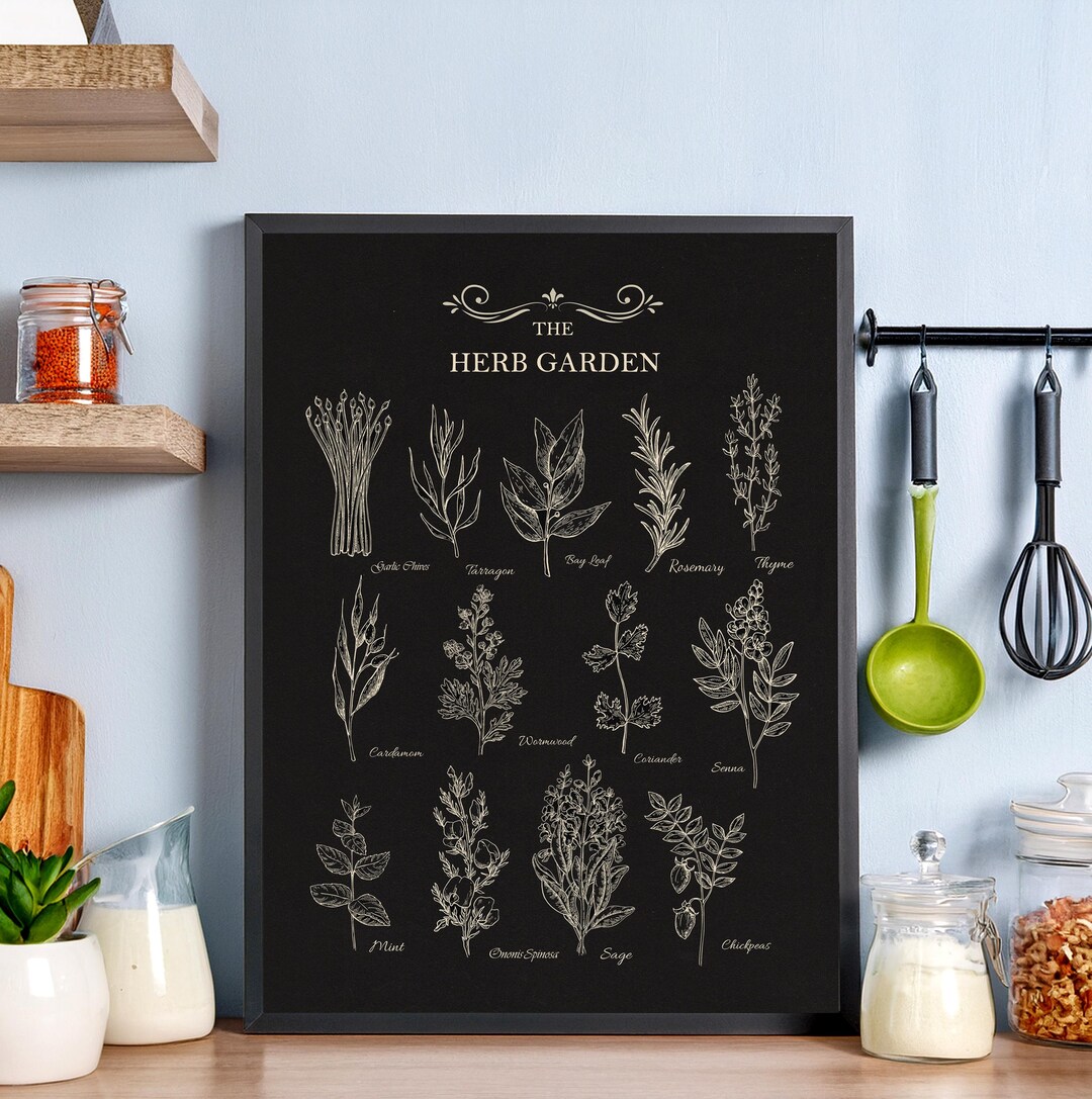 Herb Garden Botanical Illustration Print: Kitchen Wall Art (digital ...