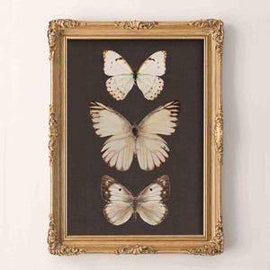 Vintage Butterfly Print, Digital Prints, Home Decor, Neutral Farmhouse Wall Decor, Moody Wall Art, Rustic Vintage Decor, Butterfly Print