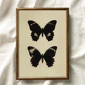 Vintage Butterfly Print, Digital Prints, Home Decor, Neutral Farmhouse Wall Decor, Moody Wall Art, Rustic Vintage Decor, Butterfly Print,