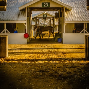 Morning Barns at Keeneland