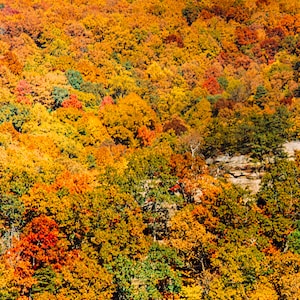Hatton Ridge View
