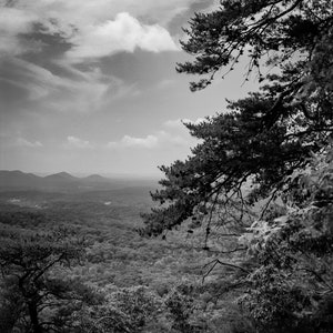 May include: A black and white photograph of a forest landscape with a cloudy sky. The photo was taken from a high vantage point, looking down at the trees below. The trees are dense and cover the entire landscape. The sky is overcast with clouds, and the sun is not visible.