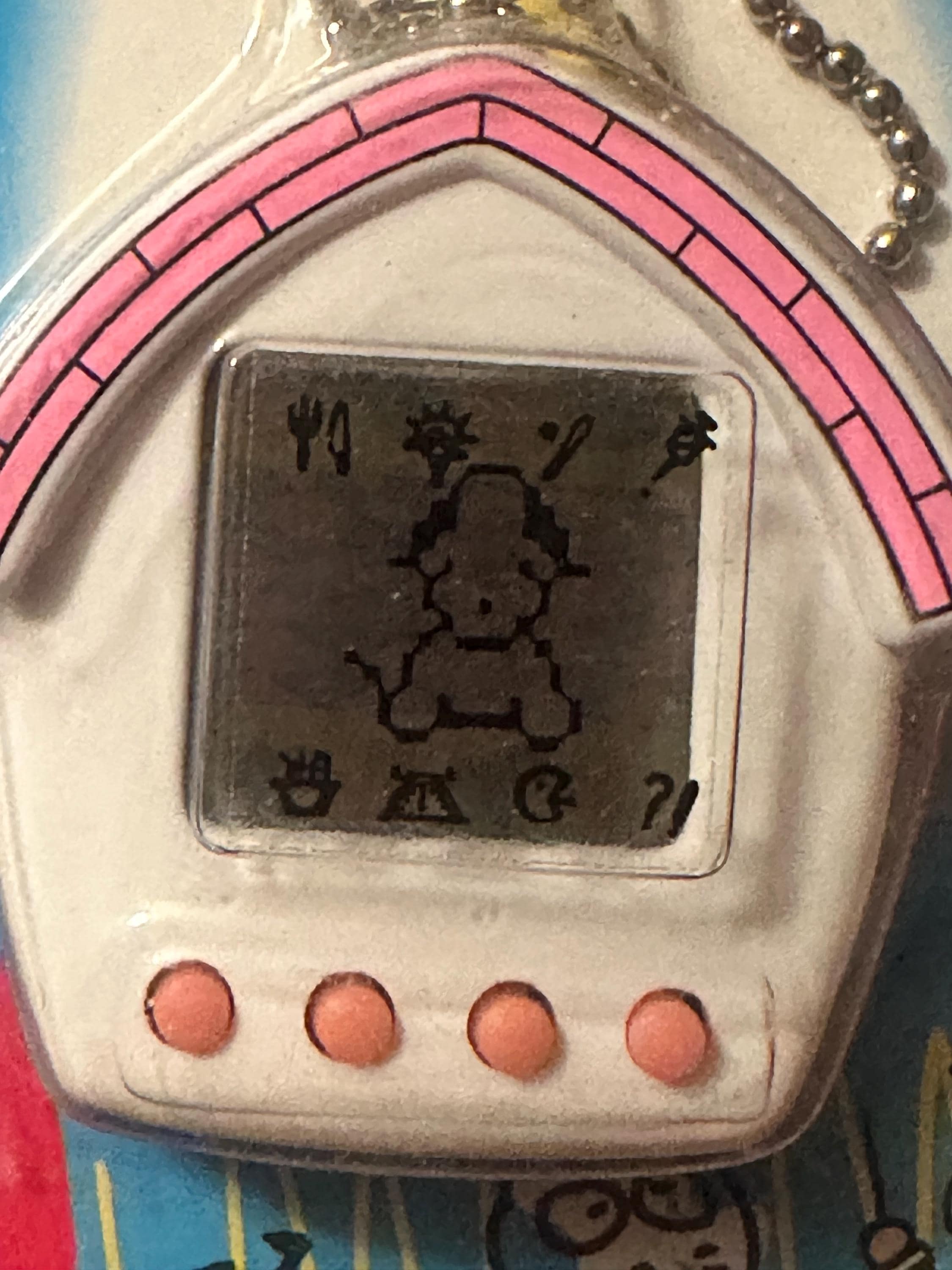 petcha il_fullxfull.6427943123_6fqw.jpg