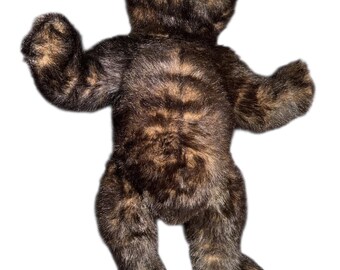 The Hen in the Holly, Brown Bear, LARGE Plush, Long Nose, 22
