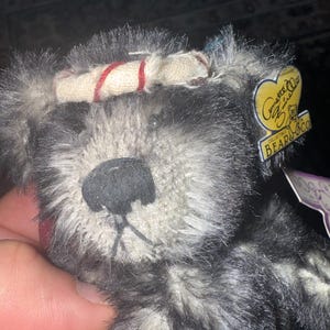May include: Close-up of a plush teddy bear with gray and black fur. The bear has a black nose and a cream-colored headband with red stripes. A yellow tag with the text "Gommette Bear Co" is attached.