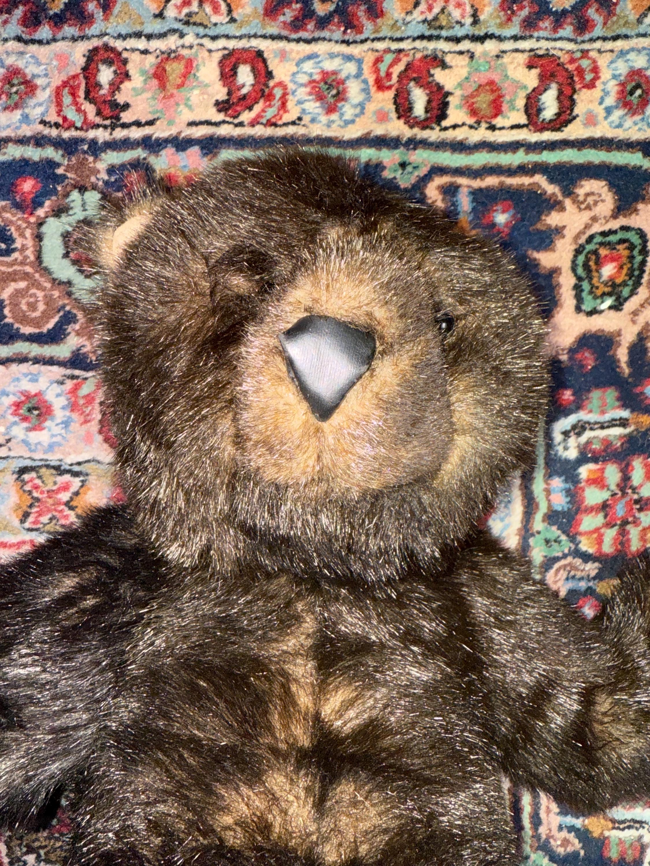 Vintage 90's Ditz by the Hen House 22” Jointed Floopy Soft Grizzly