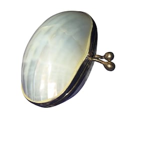 May include: Oval-shaped, iridescent mother-of-pearl purse with a silver-toned frame and clasp. The purse has a pearlescent sheen and a dark border. The clasp features two small, round decorative elements.