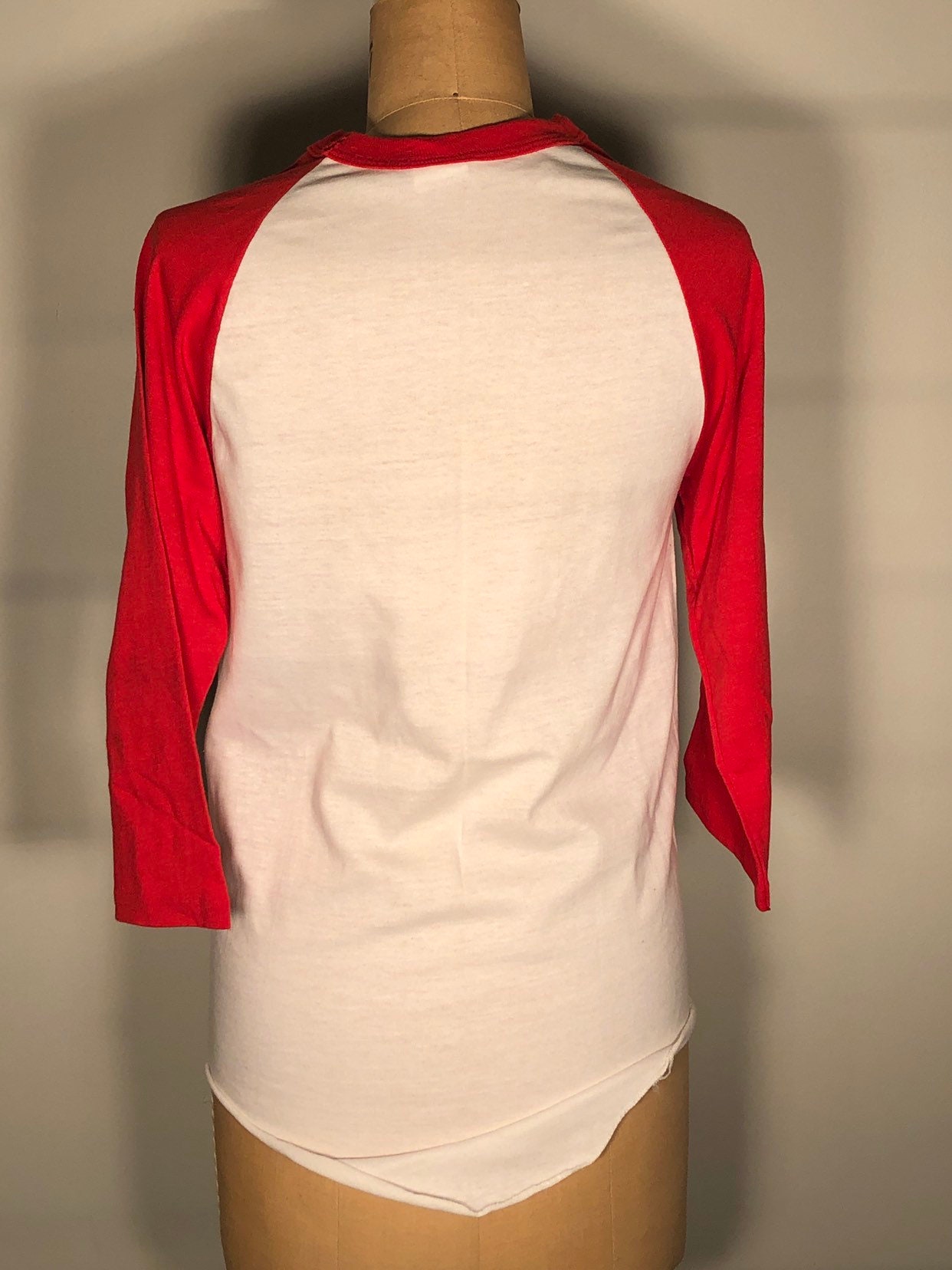 70s vintage　STEDMAN　USA製　Raglan Sleeve T $_12.JPG?set_id=880000500F