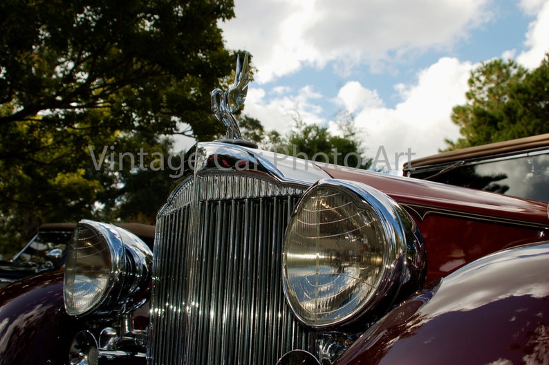 Packard Swan Packard Hood Ornament Vintage Car Classic Car Antique Car Decor Printable Digital Download Photo Download