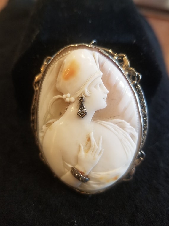 Victorian Handcarved Cameo Brooch - image 1