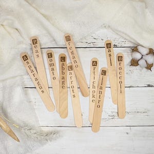 Set of 10 Custom Plant Stakes for Herb Gardens and Vegetables | Choose Your Plant Marker Labels