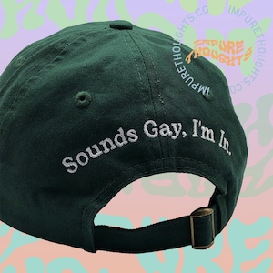 Sounds Gay I&#39;m In Dad Hat Embroidered Baseball Cap Low Profile Adjustable Unisex Cotton Baseball Hat Custom Colors Back Design Made in USA