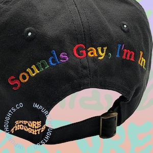 Rainbow Letters Sounds Gay I'm In Hat Embroidered Baseball Cap Low Profile Adjustable Strap Unisex Cotton Baseball Made in USA Back Design