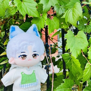 20 cm BTS Taehyung Doll (Snow Tae)