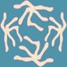 Owner of <a href='https://www.etsy.com/no-en/shop/HCTShirtDesigns?ref=l2-about-shopname&from_page=listing' class='wt-text-link'>HCTShirtDesigns</a>