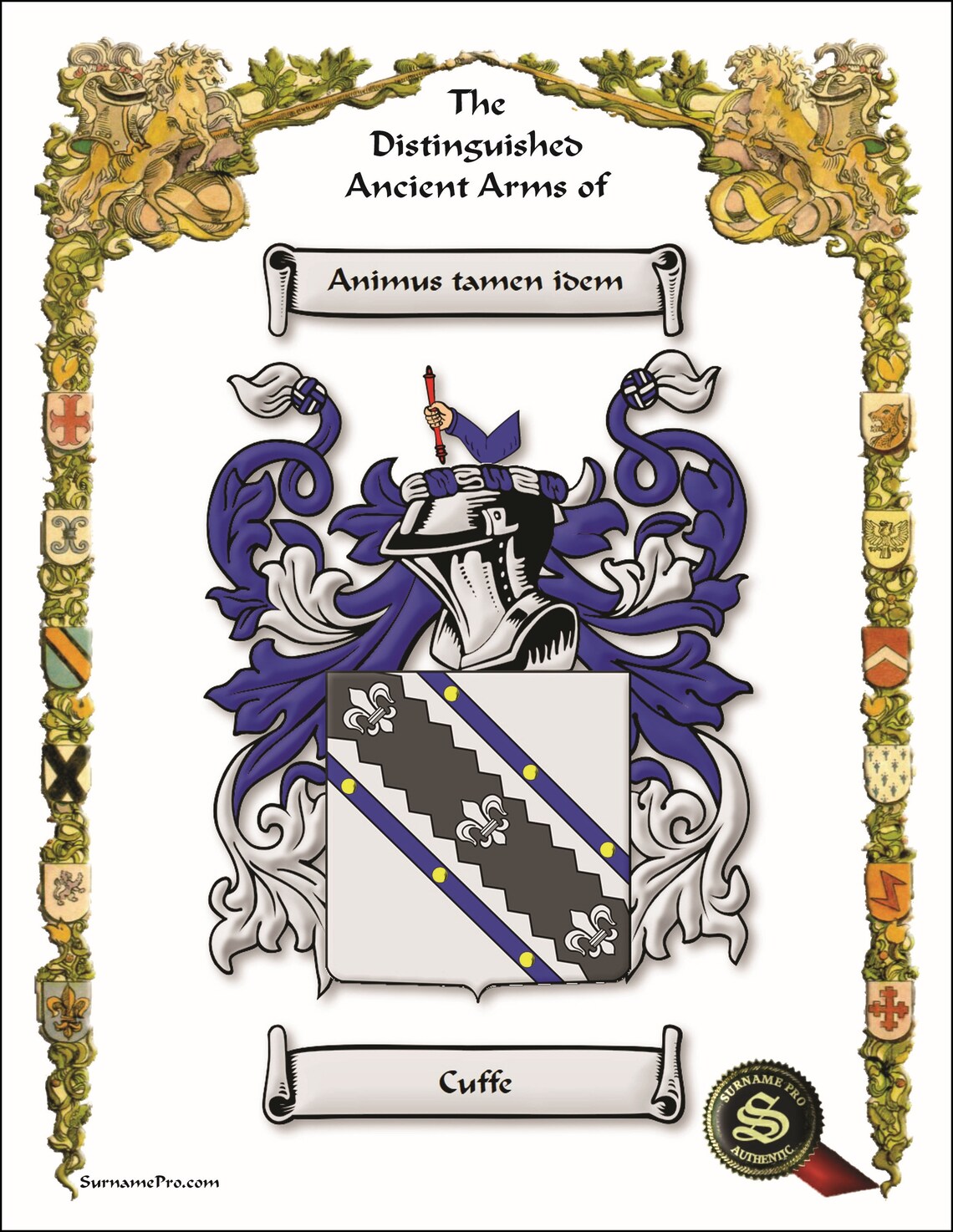 Coat of Arms from the Gallery of Names collection 8.5x11 print Etsy