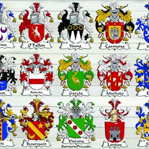 Find Your Name Here Coat Of Arms England English Origin Pabey