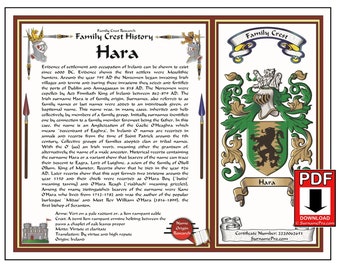 Digital Surname origin history with coat of arms - family crest last name origin ready to print on 8.5x11 paper.