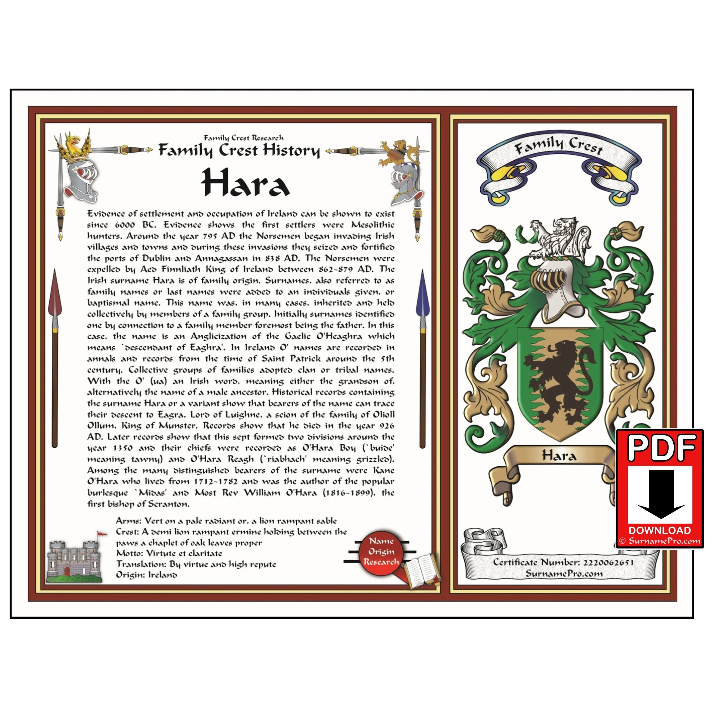 Surname Origin & Family Crest History (digital Download) - Etsy