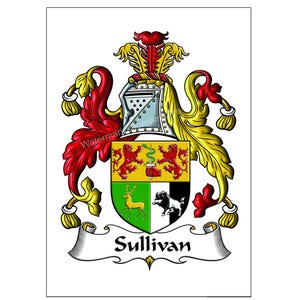 PDF, JPG & PNG 8.5x11 Digital Download Family Crest - Coat of Arms. Print as many as you want from home.  Custom Personalized