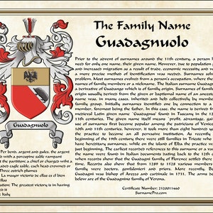 8-1/2X11 Surname History,Family Name History,Coat of Arms,Coat of Arms Surname History,Heraldry,Personalized Name Gift,Fathers DayGift imagem 3