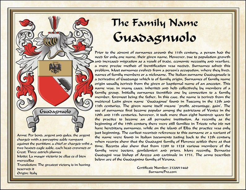 8-1/2X11 Surname History,Family Name History,Coat of Arms,Coat of Arms Surname History,Heraldry,Personalized Name Gift,Fathers DayGift image 3