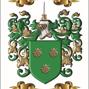 Custom personalized family name origin coat of arms and crest featuring enhanced graphics of archived surname origin herladry. image 5