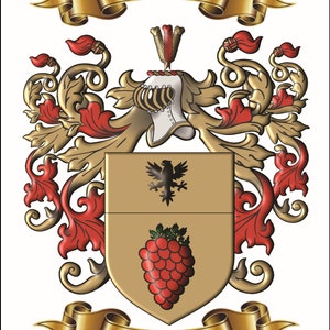 Custom personalized family name origin coat of arms and crest featuring enhanced graphics of archived surname origin herladry. image 8
