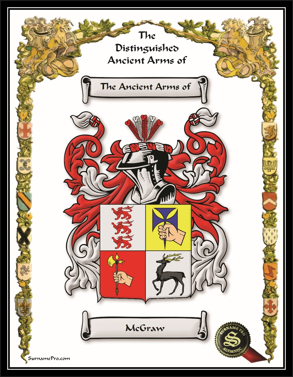 Coat of Arms from the Gallery of Names collection 8.5x11 print Etsy