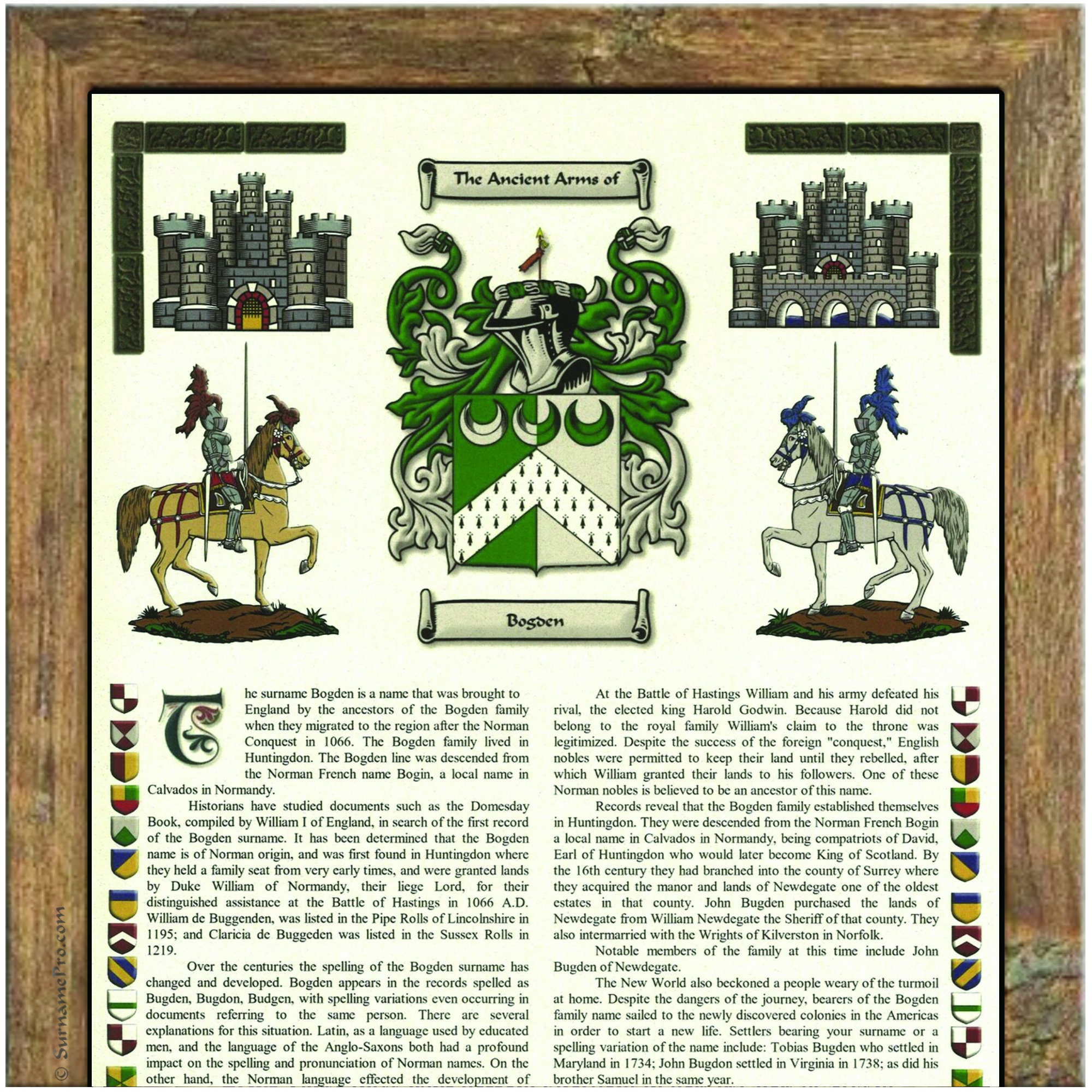 Vinny Name Meaning, Family History, Family Crest & Coats of Arms