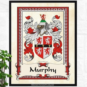 Framed Family Crest, Coat of Arms, Coat of Arms Print, Family Crest Print, Coat of Arms Shield, Family Crest Artwork, Heraldry