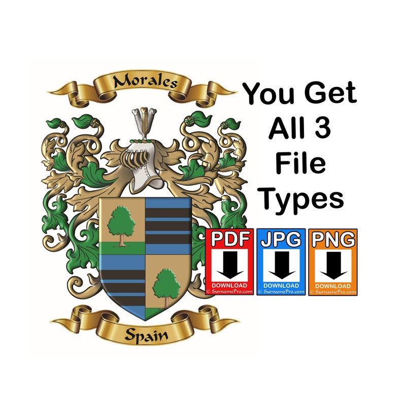 Custom personalized family name origin coat of arms and crest featuring enhanced graphics of archived surname origin herladry. image 1