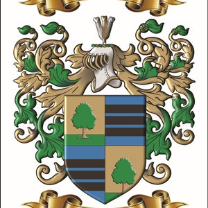 Custom personalized family name origin coat of arms and crest featuring enhanced graphics of archived surname origin herladry. image 6