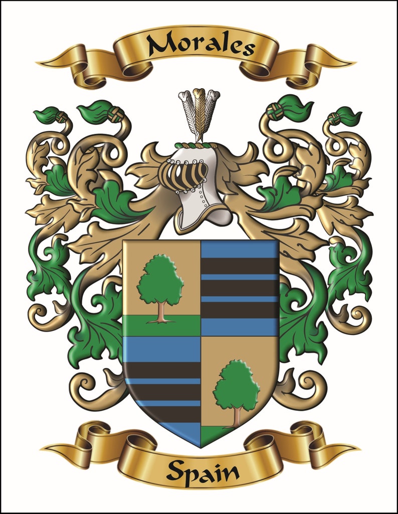 Custom personalized family name origin coat of arms and crest featuring enhanced graphics of archived surname origin herladry. image 6