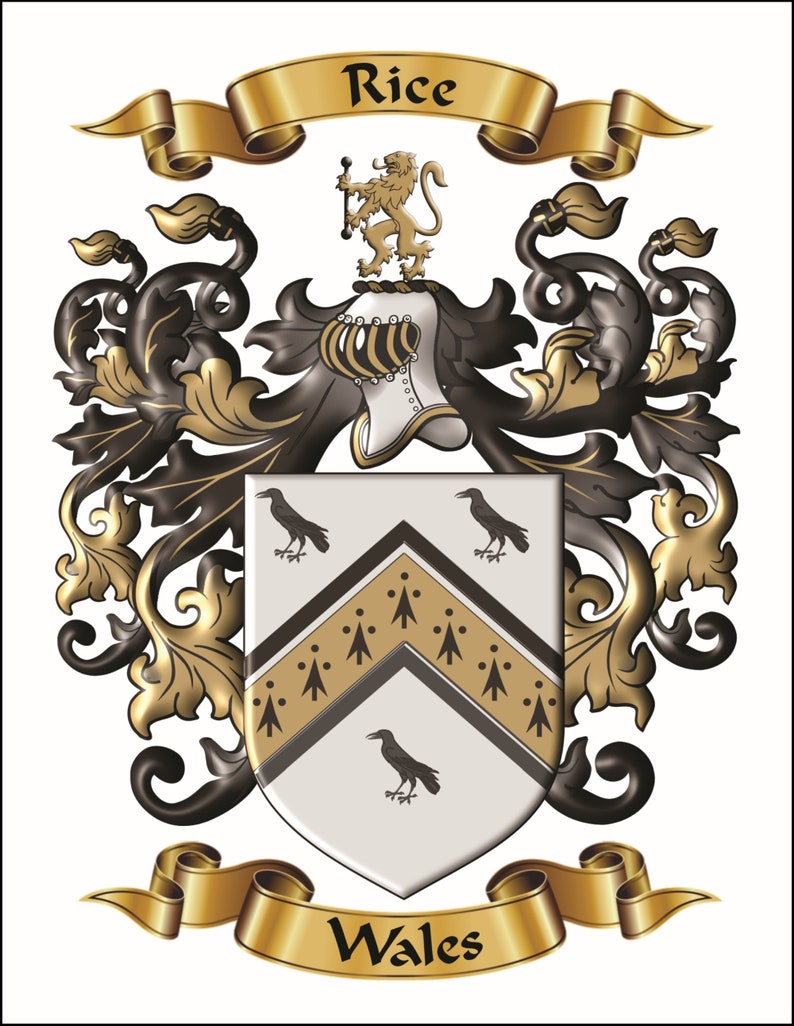 Custom personalized family name origin coat of arms and crest featuring enhanced graphics of archived surname origin herladry. image 2