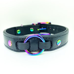 All black leather collar with Iridescent hardware