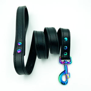 Black leather leash with all iridescent hardware