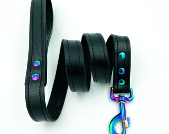 Black leather leash with all iridescent hardware
