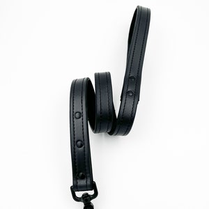 All black leather leash