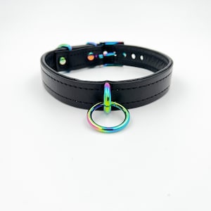 Black leather collar with iridescent loop and ring and hardware