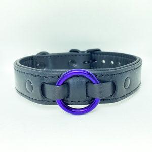 All black leather collar with purple ring