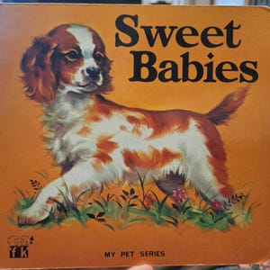 Froebel Kan Books - Etsy