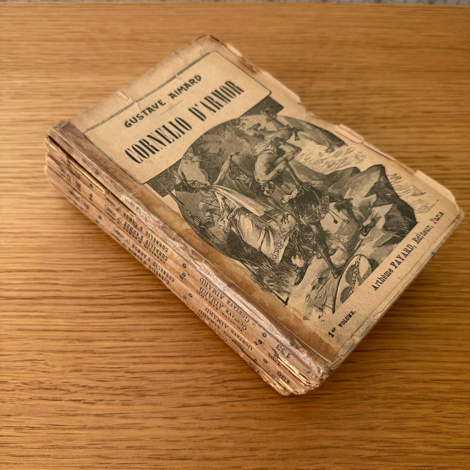 Collection of Old French Books Decoration 0309252 - Etsy Israel