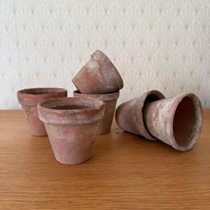 Puede incluir: Seis macetas de terracota de diferentes tamaños, todas con un aspecto rústico y envejecido. Las macetas están dispuestas sobre una superficie de madera.